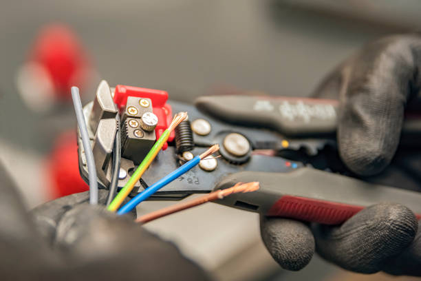 Best Electric Panel Repair  in Magnolia Springs, AL