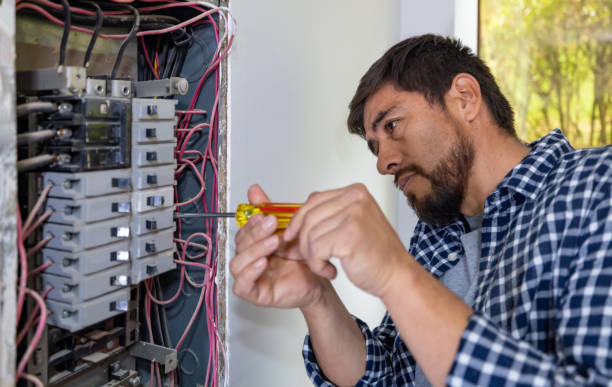 Best Generator Installation Services  in Magnolia Springs, AL